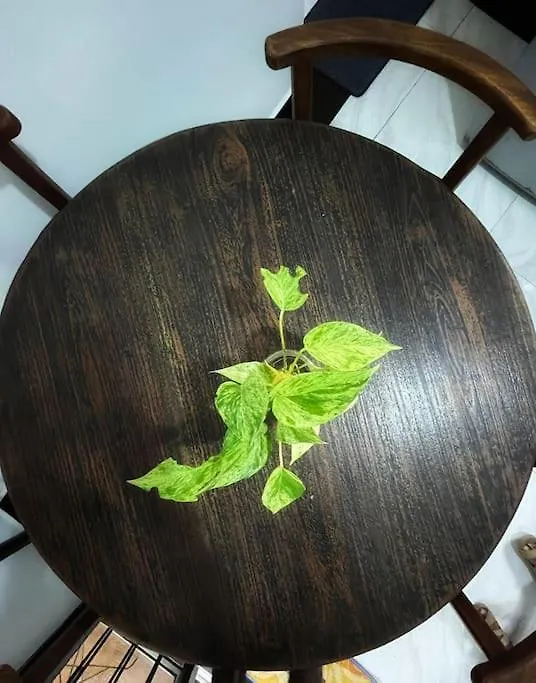Holiday home Box On236 Villa Negombo Sri Lanka